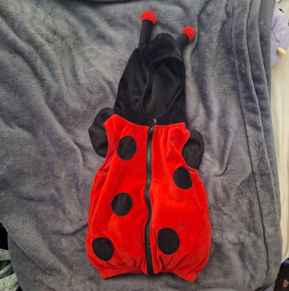 Dream Play Imagine Infant/Toddler Ladybug Costume Red & Black (size 18m - 4t)